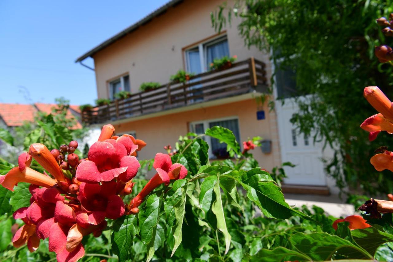 Apartman Dorijan ラコヴィツァ エクステリア 写真