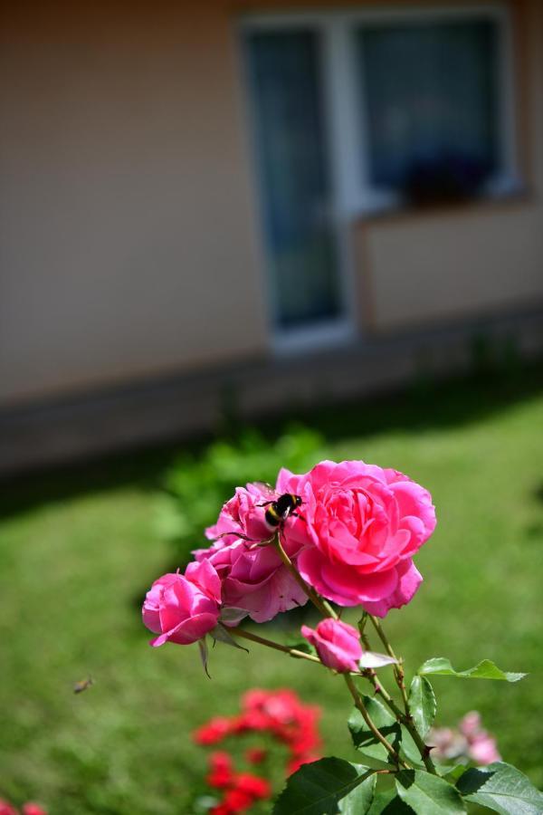 Apartman Dorijan ラコヴィツァ エクステリア 写真